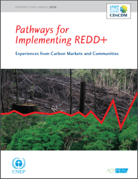 pathways for implementing REDD+