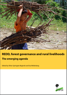 redd forest governance and livelihoods