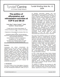 the politics of AR CDM